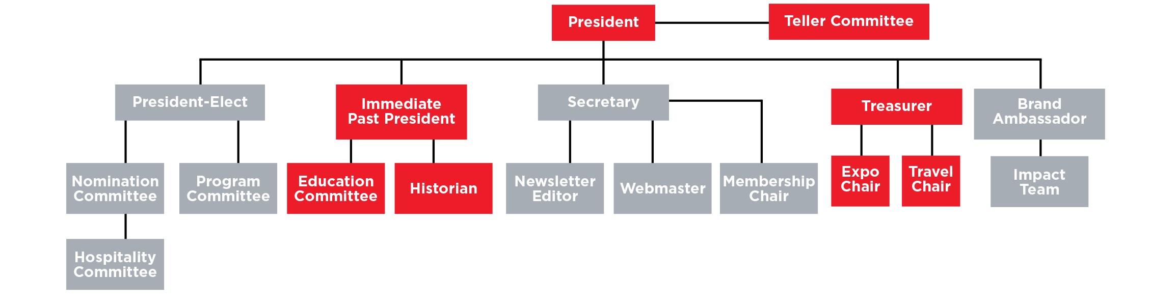 Chapter Volunteer Structure